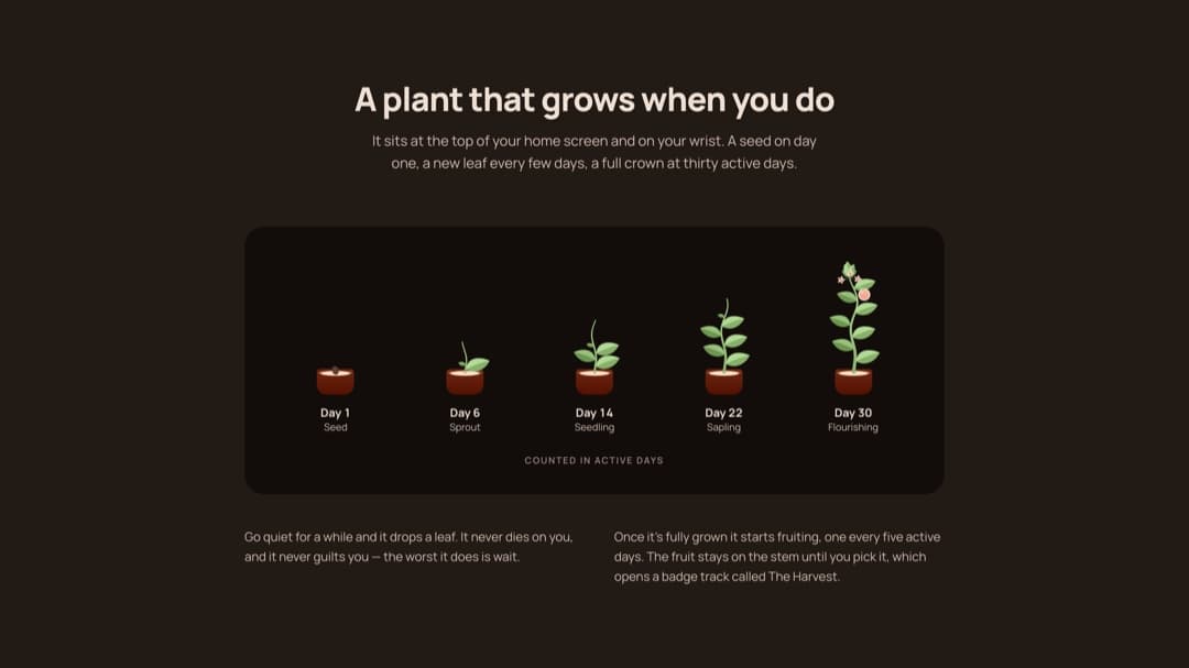 Cover Image for DingBit 2.0 is Live: A Plant That Grows With Your Habits