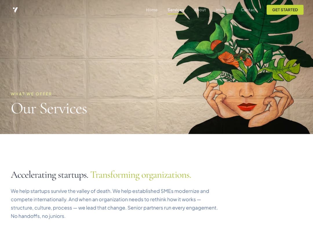 Optimus Via — Boutique Consultancy Website